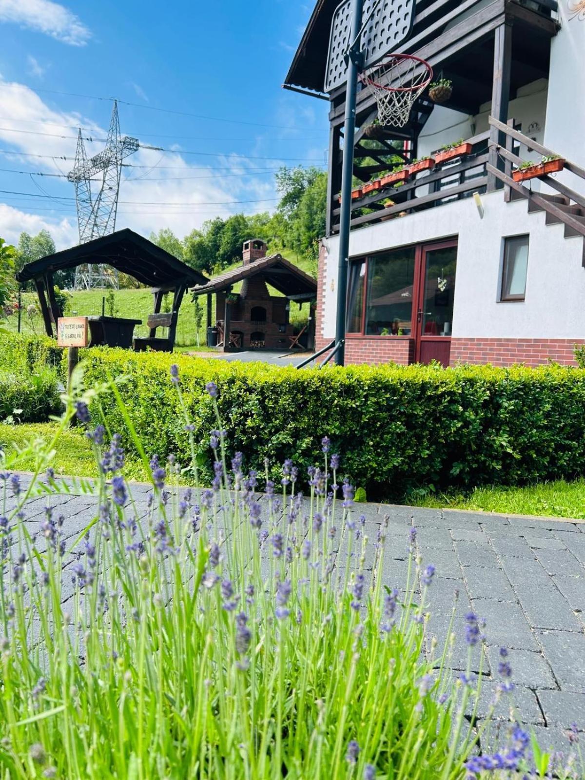 Colt Viu Cabana Бран Экстерьер фото