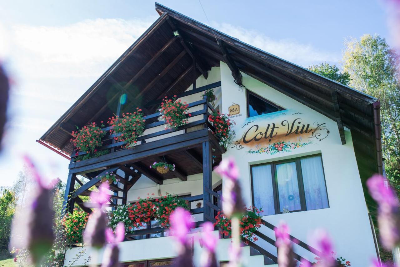 Colt Viu Cabana Бран Экстерьер фото